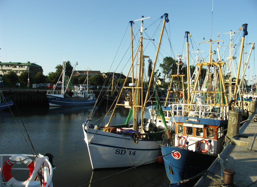 Büsum Hafen