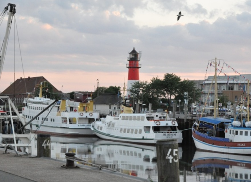 Schifffahrten zur Seehundsbank