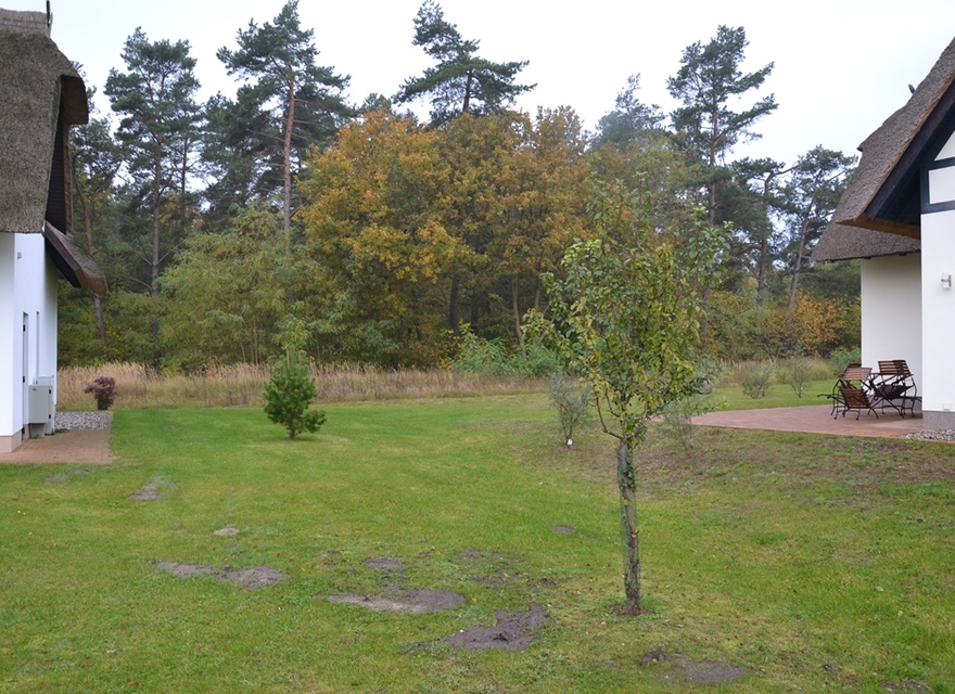 Blick vom Wohnz zum Waldrand