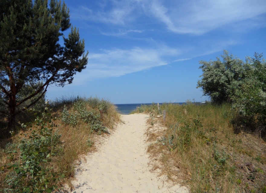 Dünenweg zur Ostsee