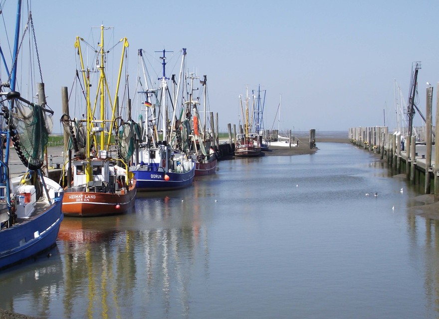 Kutterhafen