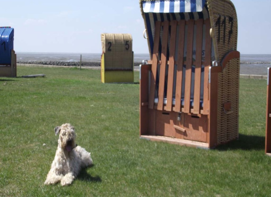 Hundestrand