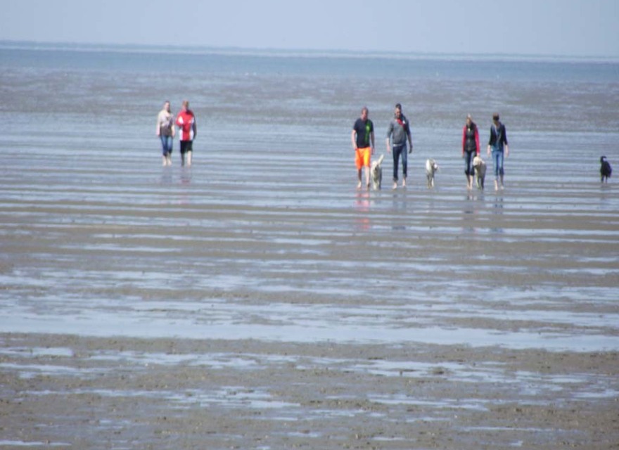 Wattenmeer