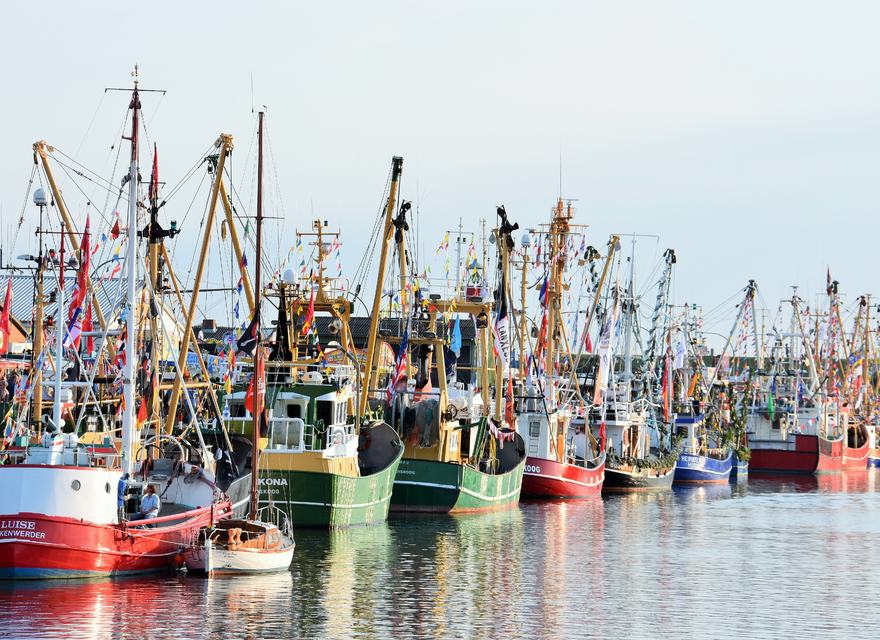 Kutterflotte im Hafen
