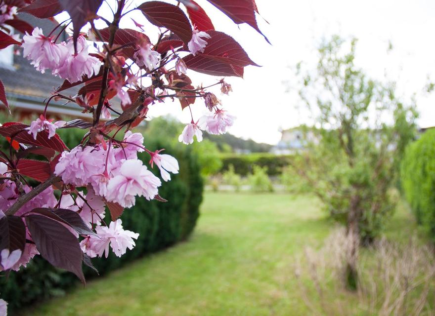 Gartenimpression
