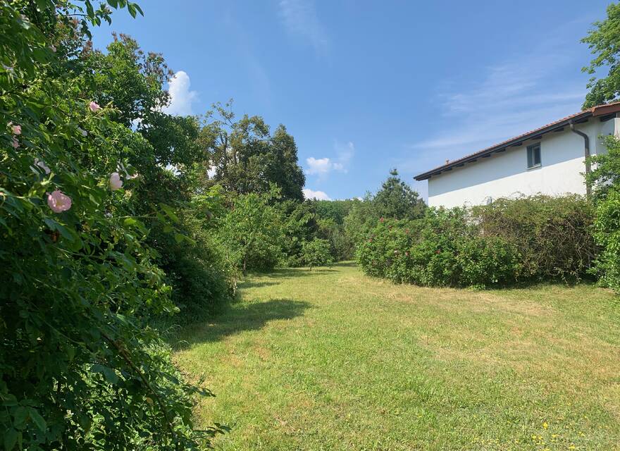 ...mitten im Grünen