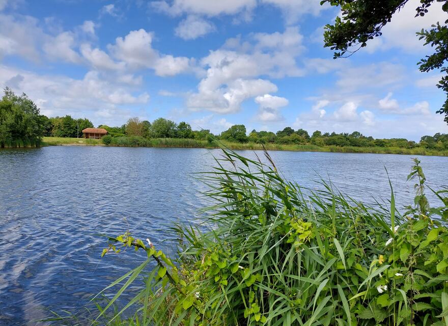 Angelgewässer in Ostfriesland