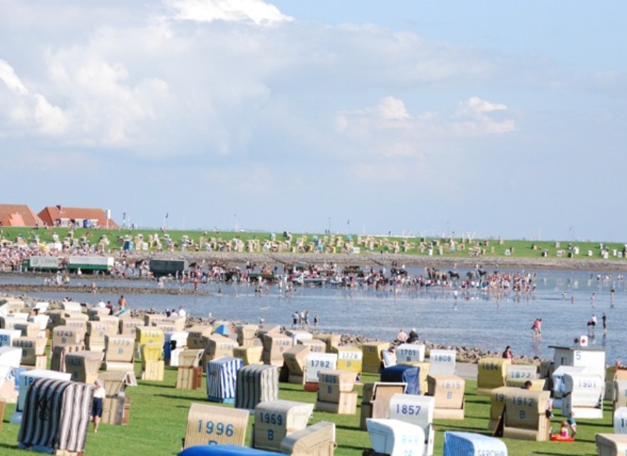 Springreiten im Watt