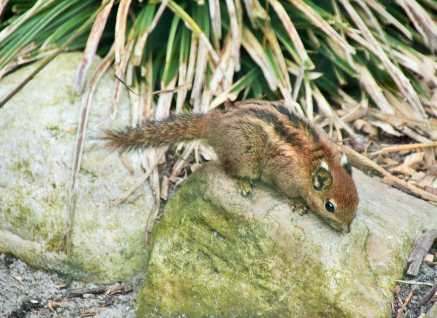 Ausflug zum Westküstenpark