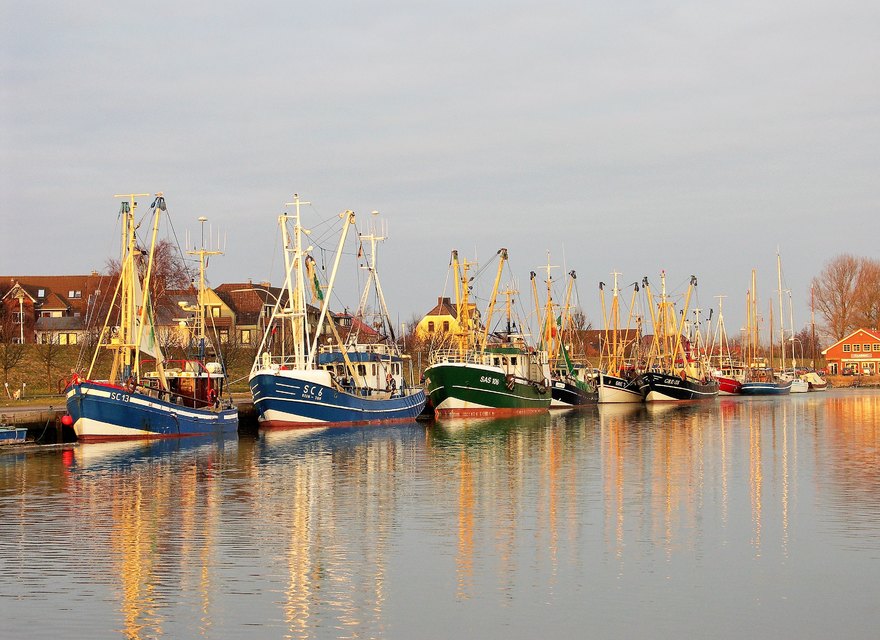 Kutterflotte im Hafen