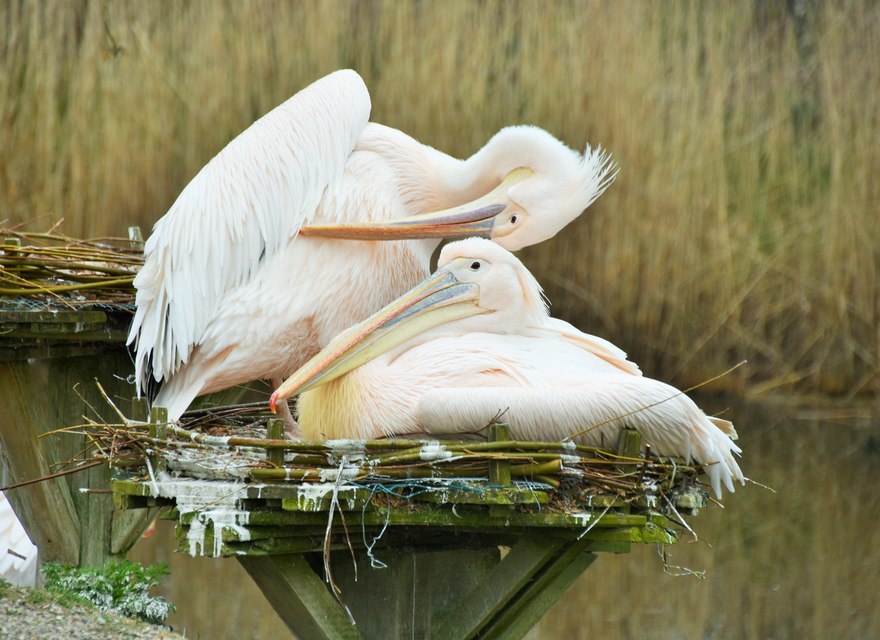 Ausflug zum Westküstenpark