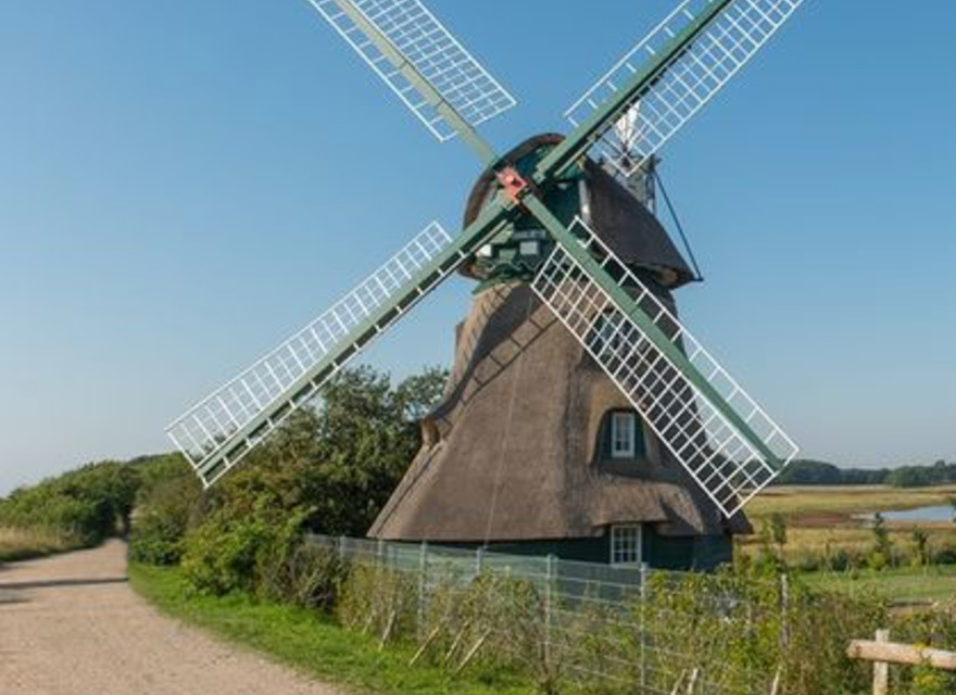 Windmühle in der Geltinger Bir