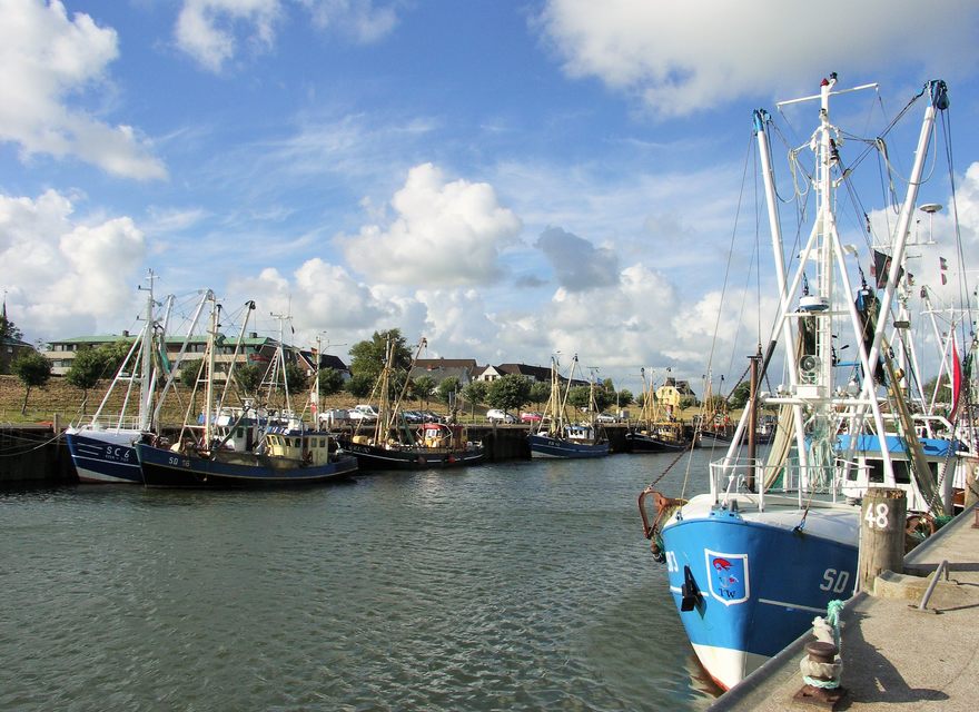 Seglerhafen