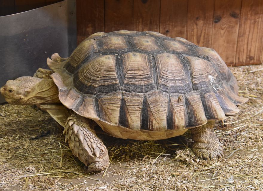 Westküstenpark/Robbarium