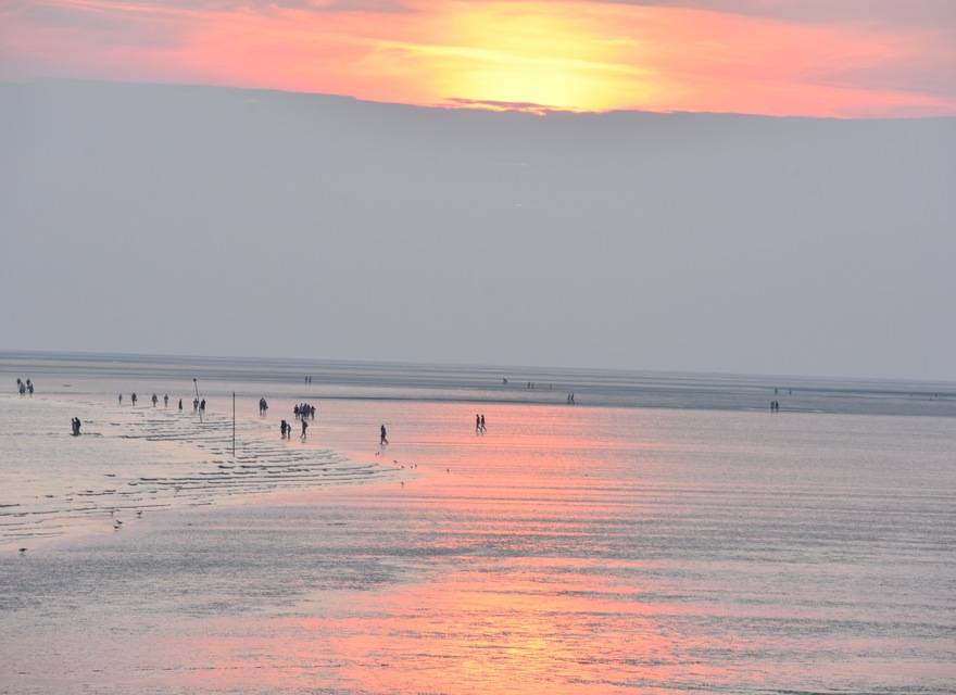 Abendstimmung im Watt