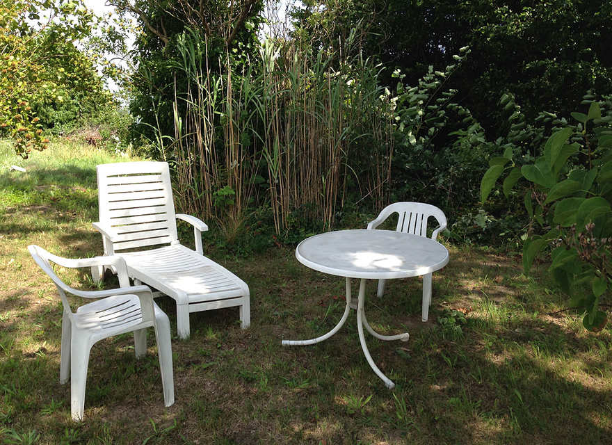 Sitzplatz unter Eiche