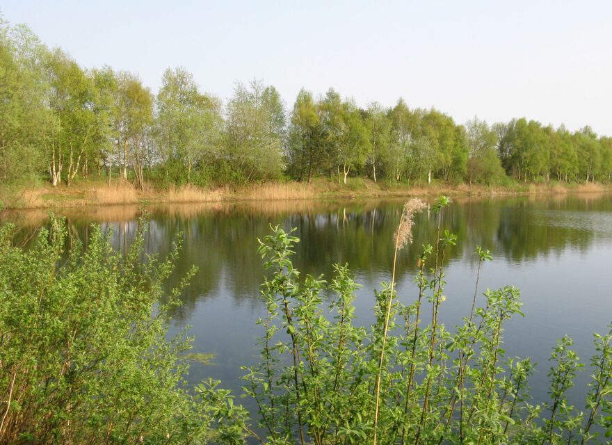 Angelgewässer in Ostfriesland