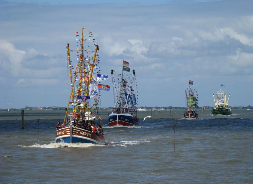 Kutterregatta Neuharlingersiel