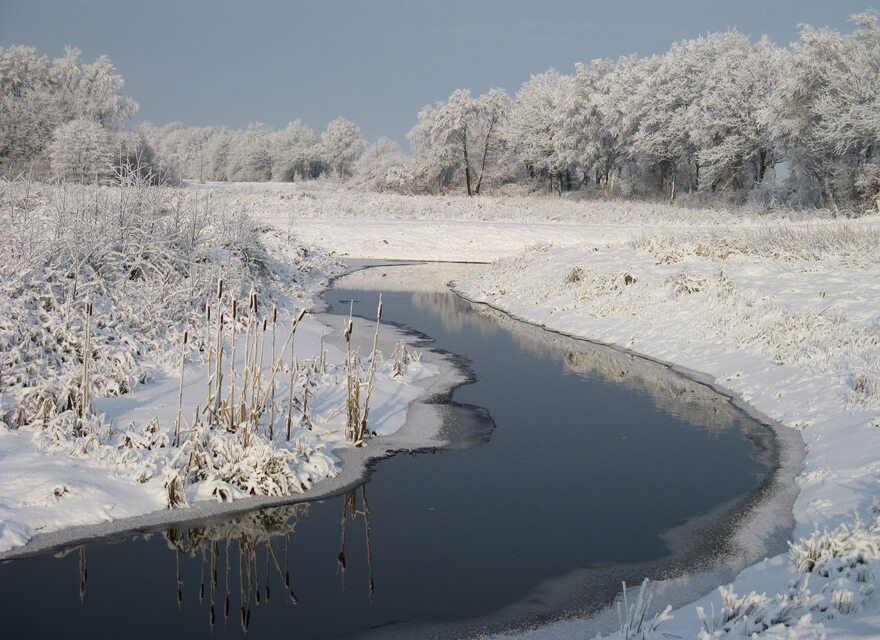 Winterimpressionen