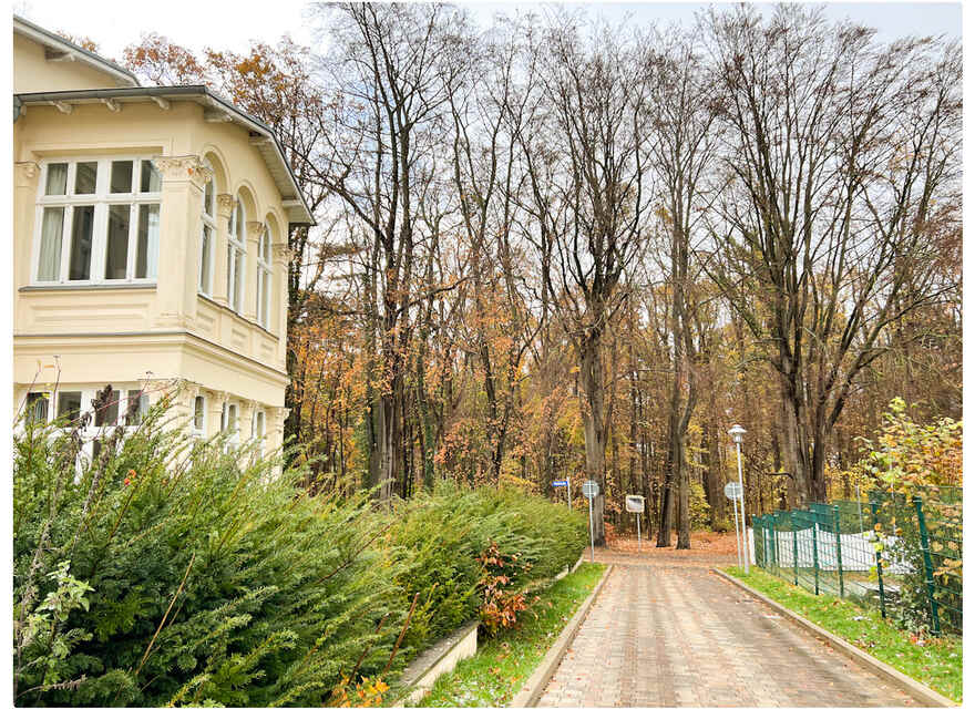 Küstenwald